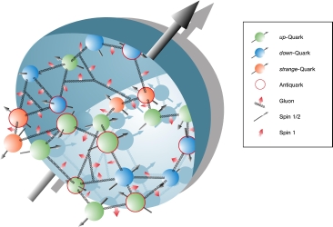 Teilchen und ihr Spin im Innern des Protons